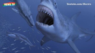 Loài động vật nào đáng sợ nhất trong lịch sử Trái đất_