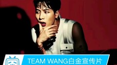 【TEAM WANG白金宣传片】王嘉尔白金 team wang3000件竞拍!