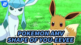 Eevee - Shape Of You | Pokemon AMV_2