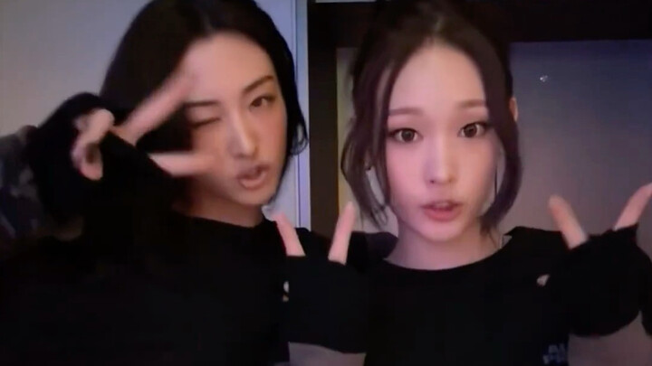 غافون وأني | تحدي الرقص على أغنية الثنائي WYA 🐾