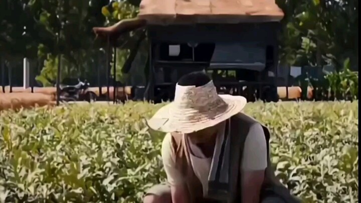 A Chinese satirical film: a question that a melon farmer has pondered for twenty years is effortless