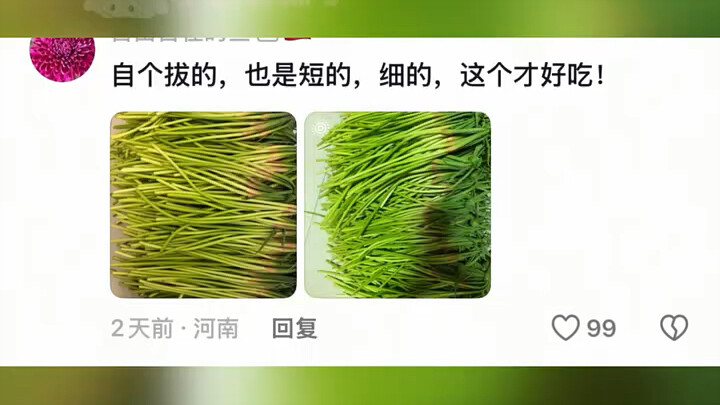 Merchant: “I’m just throwing my charms at a blind man!” — Henan Garlic Scapes — Funny
