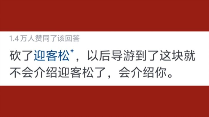 Which carries a heavier penalty: cutting down the Welcoming Pine on Mount Huangshan, or felling the 