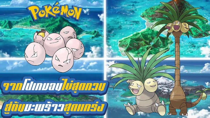 Pokemon Profile Tamatama (Exeggcute) Nassy (Exeggutor) จากโปเกมอนไข่สุดกวน สู่ต้นมะพร้าวสุดแกร่ง