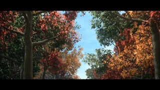 small video  of tanjiro