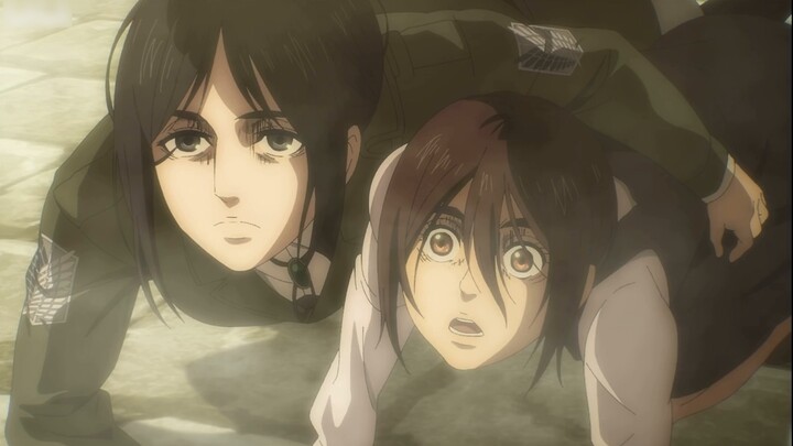[Attack on Titan] Sister Pique, a big dog with long eyelashes, likes to be touched by Irena