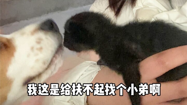 นี่ฉันมันเหมือนแค่เก็บแมวมาตัวนึงเลยเหรอ?