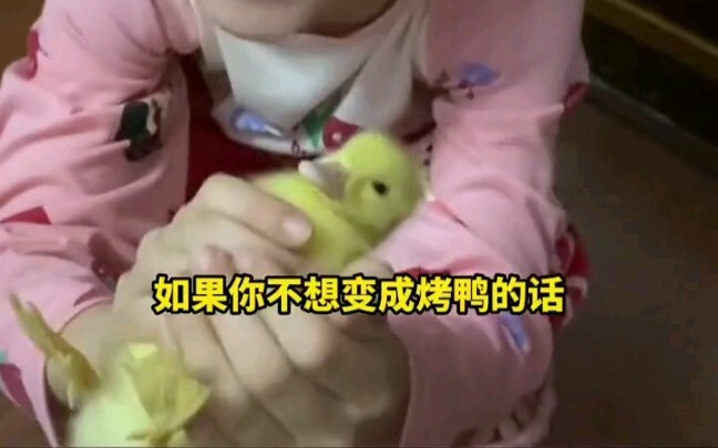 น้ำซุปเมิ่งผาวอีกแล้ว เจือจางด้วยน้ำอีก