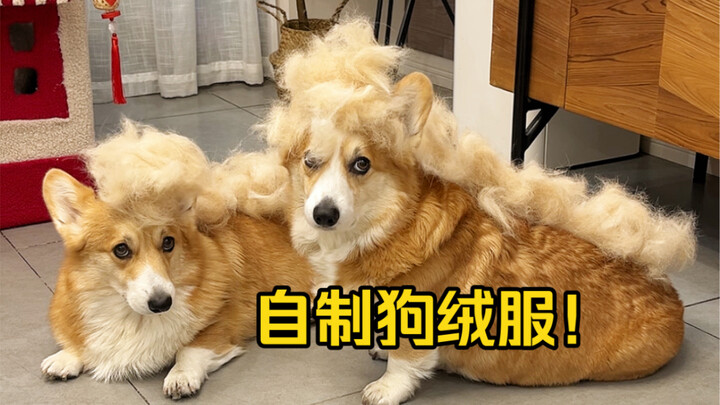 Let’s make a dog-fur New Year outfit for my dog using its shed fur!