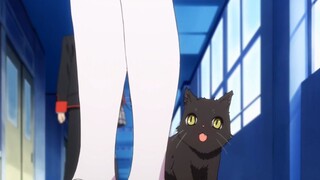 当美少女变成猫