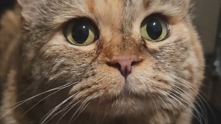 But I haven’t had any snacks for five minutes now…