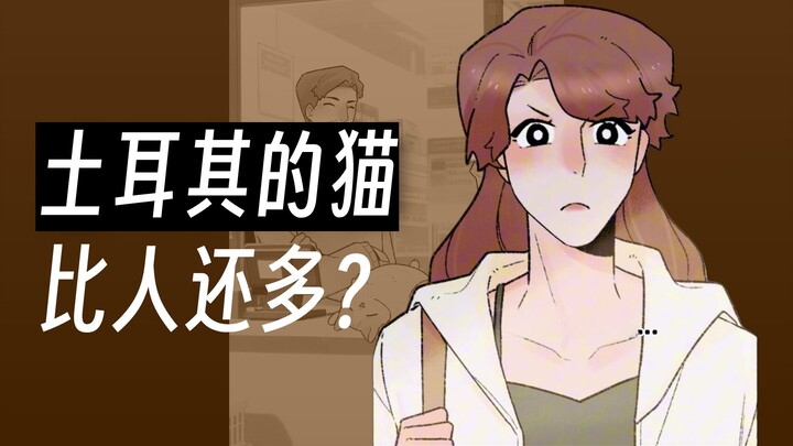 Shocking: A stray cat worth 125,000 has actually taken over an entire city!