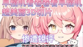 被卷卷锐评平板后无言下播【早稻叽】【犬卷日鞠】