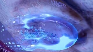 The powerful self-healing abilities of marine organisms