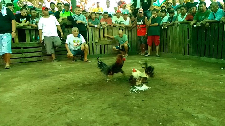 brother og my talisay gold ☝️