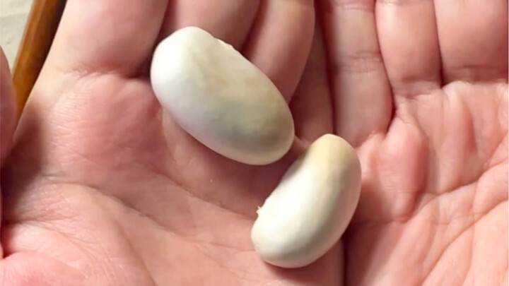 You Can Turn Anything Into Calligraphy!