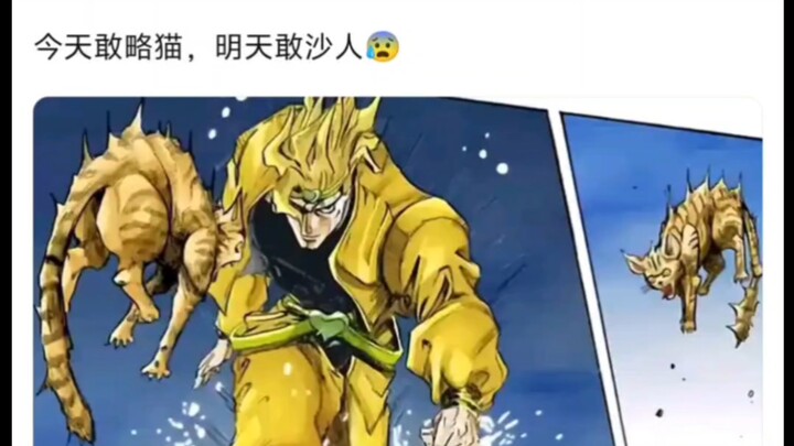 居然爱猫吗，哈吉dio你这家伙