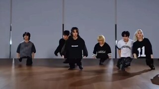 “เสี่ยว” มิมิ ฉันพูดว่า มิ แปลว่า มินิ มิ (บุชิ