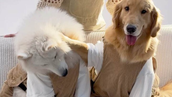 Today I took the puppy to a photo shoot; with them around, time doesn’t seem so rushed anymore.