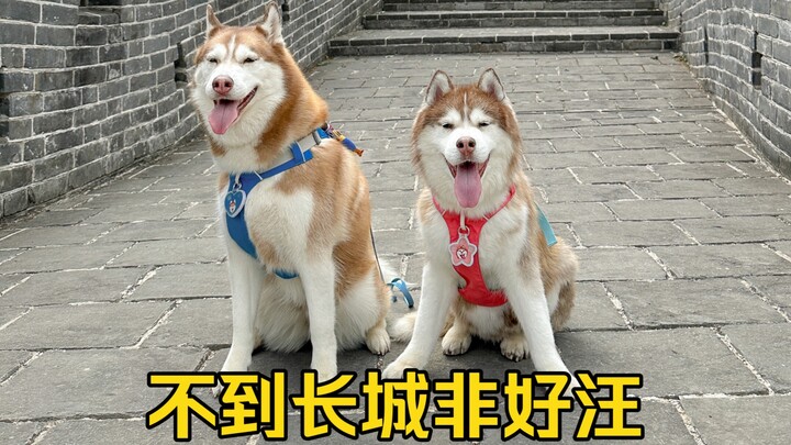 ไม่ไปถึงกำแพงเมืองจีนก็ไม่ใช่ชายชาตรี แต่ชายชาตรีย่อมไม่เสียเปรียบในสถานการณ์ตรงหน้า