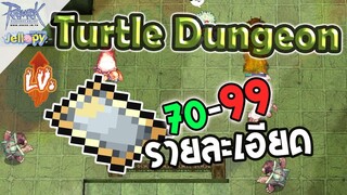 Ragnarok Online - ro - เกาะเต่า 70-99 เวลไว เงินดี + รายละเอียด Turtle dungeon