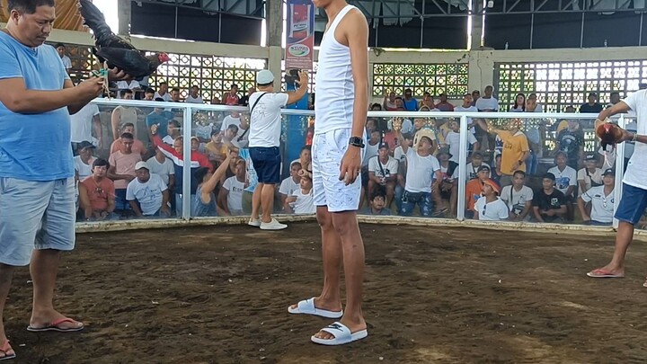 Lucio gf dark Hennie 2x winner