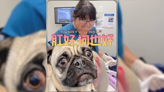 肛好，狗也好🐶