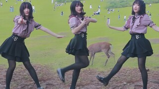 【Xiao Ran】Maaf banget ya jadi imut banget!❤️Kembalinya aku setelah delapan tahun QwQ