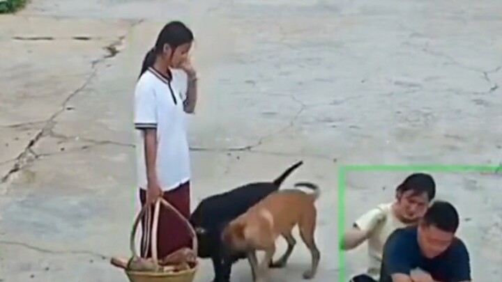 Couple banters as danger strikes; the rooster leaps to “take the blow for its mate”