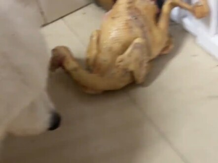 Only people from Guangdong and Guangxi really get it: The tribute chicken hasn’t even made it to the