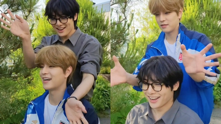 【Stray Kids】Bunga anjing dan bunga rubah telah mekar!