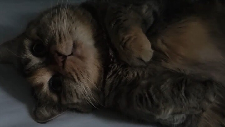 It’s almost four o’clock—why aren’t you up to feed me yet?