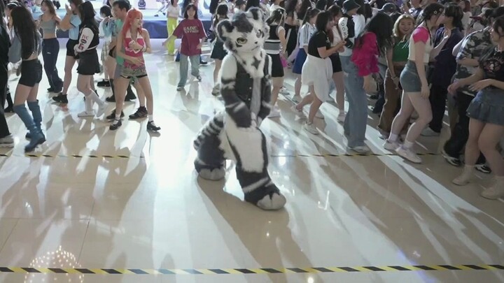 [Silver Tan, Dance in Animal Costume] Random Dance di Yangzhou pada tahun 2023 - Bagian di mana Yint