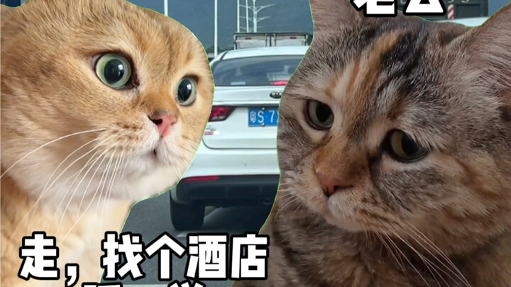 Sleeping it off will fix the car, right?