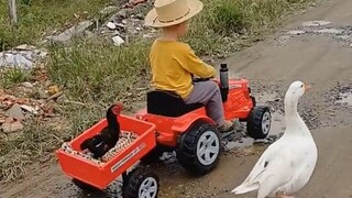 拥有这么一群小伙伴，小男孩已经是人生赢家了！