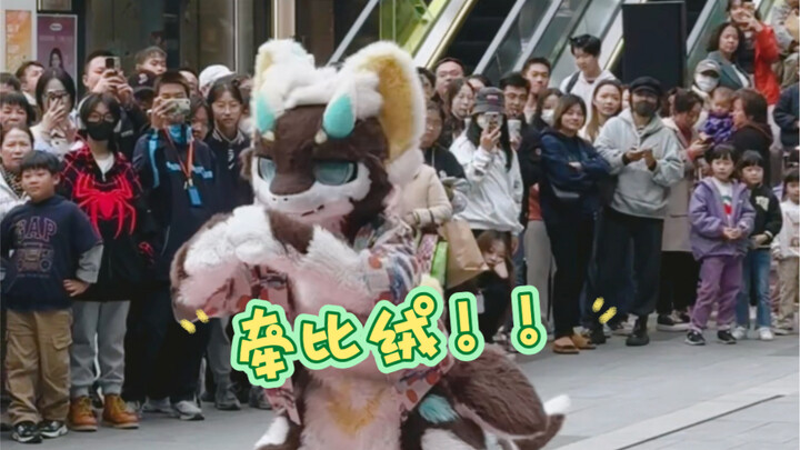 رقصة الافتتاح بمشاركة تشيان بي رونغ، رائعة جدًا!!