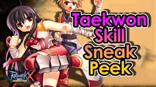 [ROX] Skills Sneak Peek For Taekwon Job Class! | King Spade