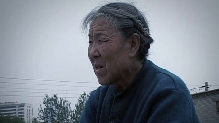 Experimental Editing: Illustrated Guide to Chinese Birds