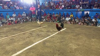 first fight 2hits ulutan sa Silang