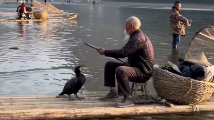 A man on the Lijiang River looks just like Grandpa Huang! Filmmaker: “Grandpa Huang is gone, but his