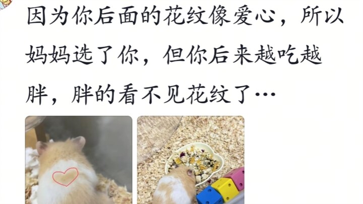 Moms, could you share the story of how you picked it out from a bunch of little mice?