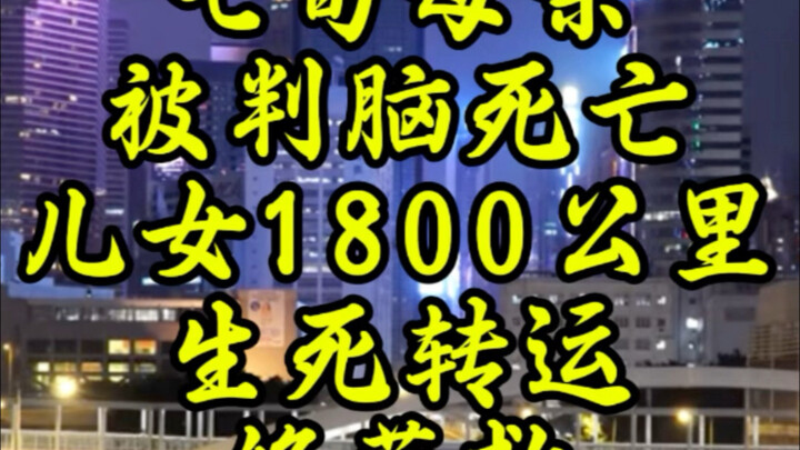 Seventy-year-old Mother Declared Brain Dead: Children Arrange 1,800-Kilometer Life-or-Death Transpor