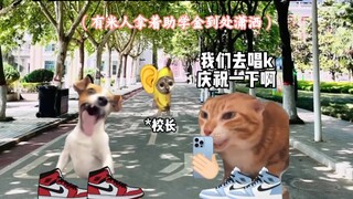 Warmth in Silence: A School with Heart #CatMeme