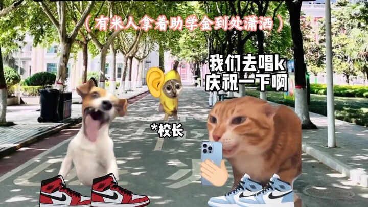 不动声色的温暖 一个有温度的学校# 猫meme