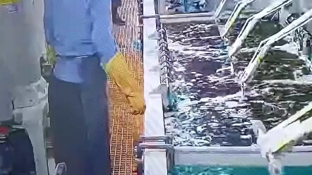 A coworker at the electroplating factory fell into the chemical solution