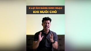 8 lợi ích đang kinh ngạc khi nuôi chó tuitienpet petonesaigon petnhatrang dcgr