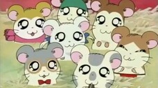 Hamtaro Episode 06 First Time at the Beach