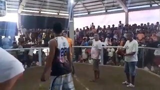 draw Isang tuka lang inabot bayag kaya umayaw