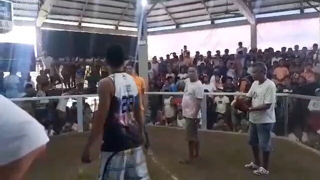 draw Isang tuka lang inabot bayag kaya umayaw