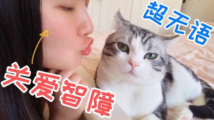 จะเกิดอะไรขึ้นเมื่อกินอาหารแมวของมันต่อหน้าแมว?